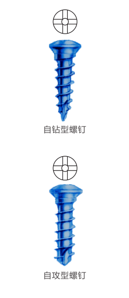 金屬接骨螺釘